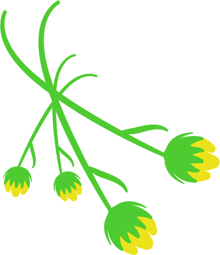 Flower illustration